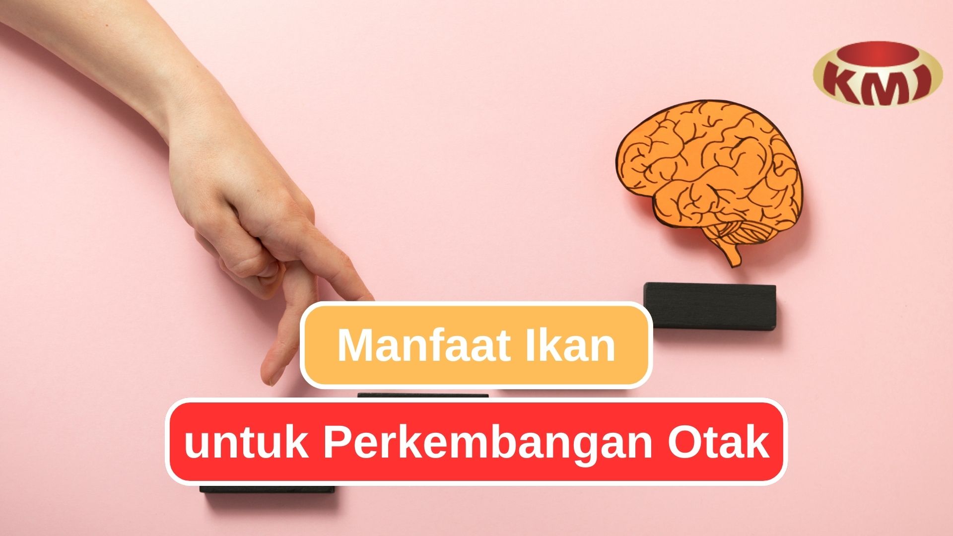 Inilah Manfaat Baik bagi Otak dari Rutin Memakan Ikan 